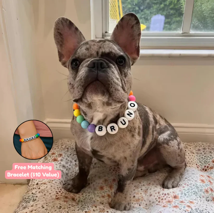 BBF (Best Bark Friend)™ Dog Collar